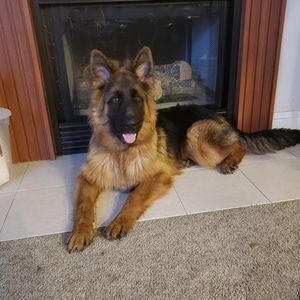 Meet your Posher, Leah